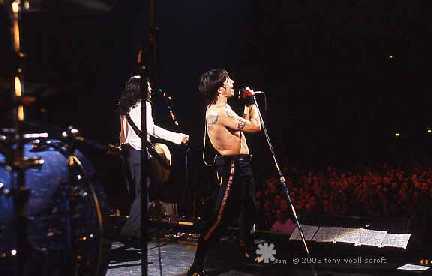 Chilli Peppers Live